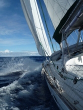 Whizzing to Faial from Flores